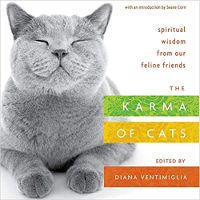 book cover: The Karma of Cats: Spiritual Wisdom from Our Feline Friends by Various Authors.&nbsp;